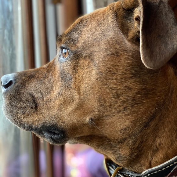 Like Follow Share <3 - Picture 4 of 5